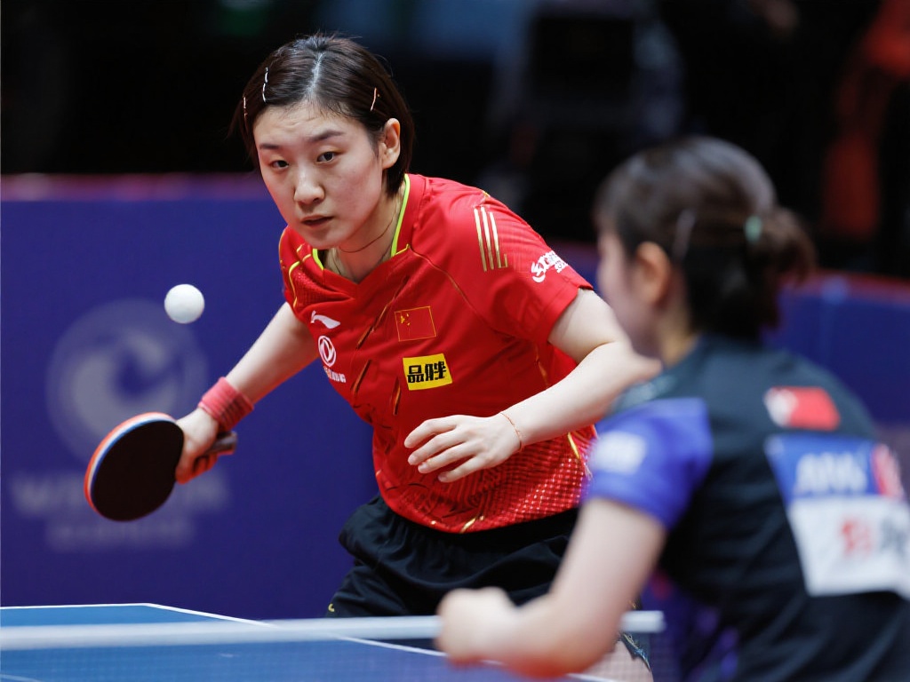 不可或缺的 不可或缺的