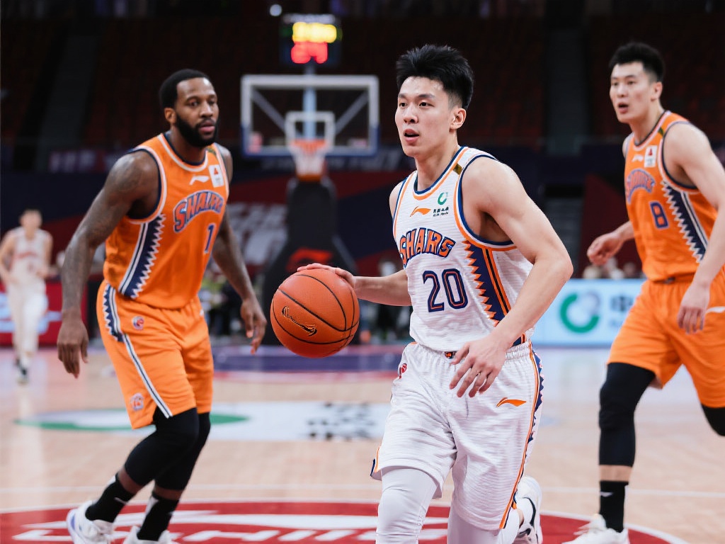 前提下合理 前提下合理