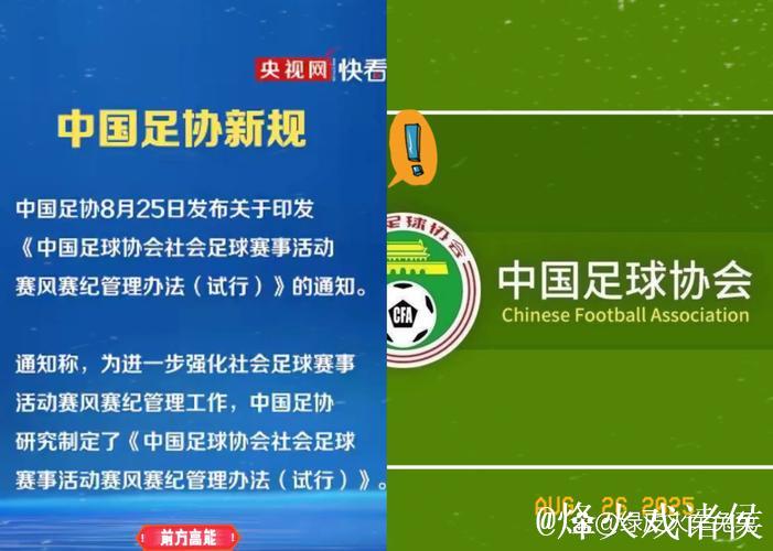 解读:足协调整国字号队伍 国少重归国管部 解读:足协调整国字号队伍 国少重归国管部